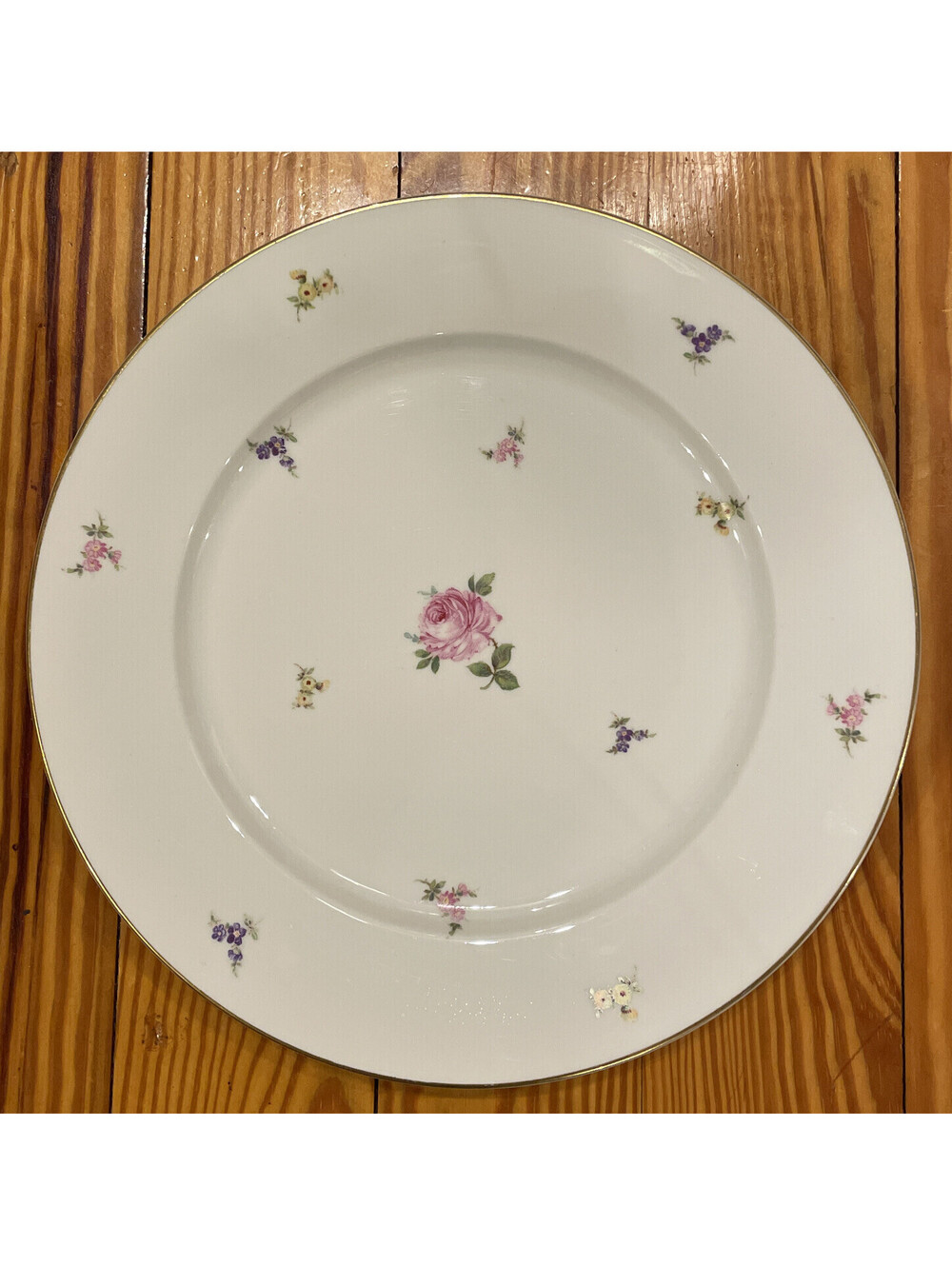 ROSENTHAL China HILLSIDE Pattern Dinner Plate 10-1/4” Self-Germany US Zone